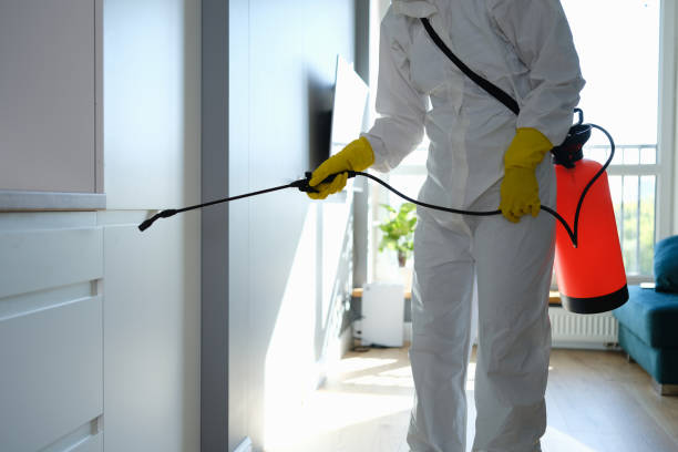 Best Emergency Pest Control  in Charter Oak, CA